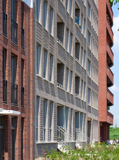 gro56.jpg