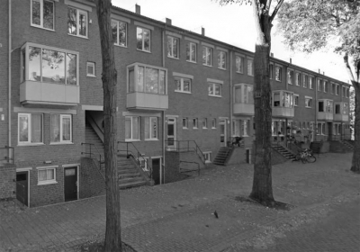 heumaartenbestaand2.jpg